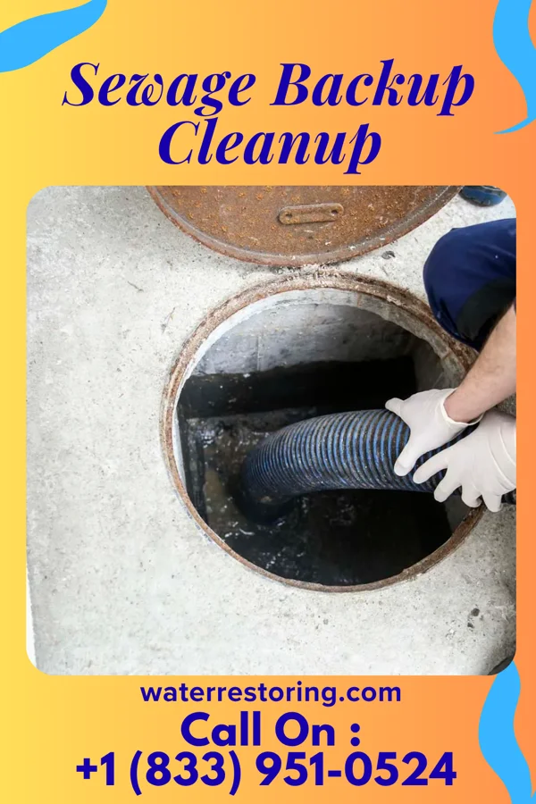 Sewage Backup Cleanup in Golden Gate, FL