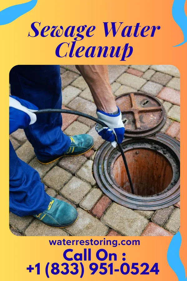 Sewage Water Cleanup in Golden Gate, FL